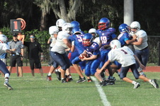Enlarge photo 342