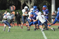 Enlarge photo 343