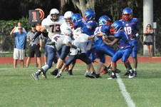 Enlarge photo 345