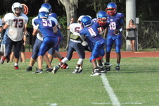 Enlarge photo 347