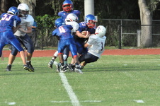 Enlarge photo 349