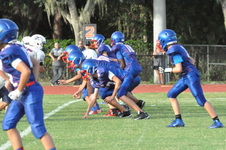 Enlarge photo 351