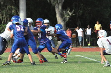 Enlarge photo 353
