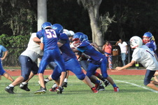 Enlarge photo 354