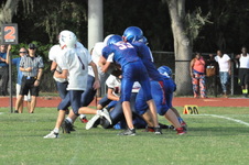 Enlarge photo 355