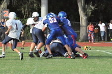 Enlarge photo 356