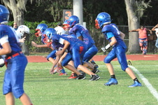 Enlarge photo 362