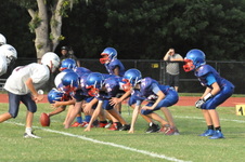 Enlarge photo 372
