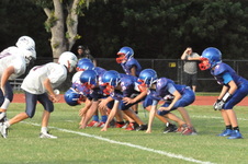 Enlarge photo 374
