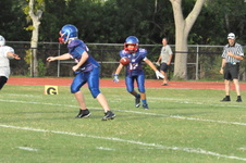 Enlarge photo 377