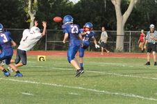 Enlarge photo 379