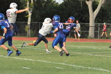 Enlarge photo 380