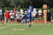 Enlarge photo 382