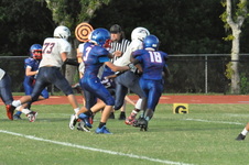Enlarge photo 389