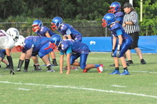 Enlarge photo 392