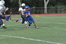 Enlarge photo 425