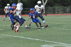 Enlarge photo 426