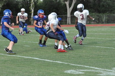 Enlarge photo 427