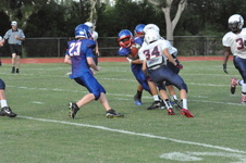 Enlarge photo 428