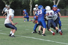 Enlarge photo 429
