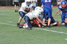 Enlarge photo 431