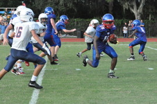 Enlarge photo 434