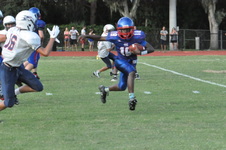Enlarge photo 435