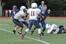Enlarge photo 442