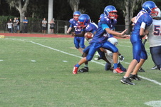 Enlarge photo 449