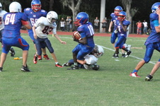 Enlarge photo 451
