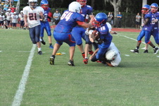 Enlarge photo 452