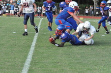 Enlarge photo 453