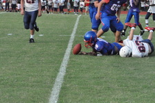 Enlarge photo 455