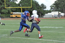 Enlarge photo 463