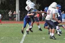 Enlarge photo 473