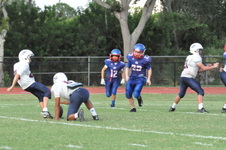 Enlarge photo 493