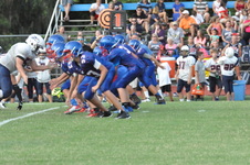 Enlarge photo 505