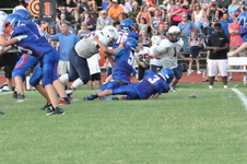 Enlarge photo 510