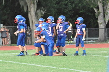 Enlarge photo 528
