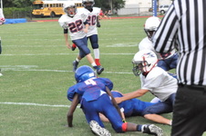 Enlarge photo 534