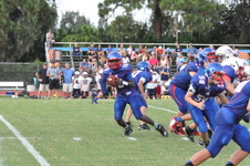 Enlarge photo 537