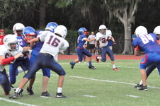 Enlarge photo 557