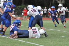 Enlarge photo 559