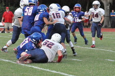Enlarge photo 561