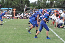 Enlarge photo 569
