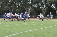 Enlarge photo 619