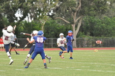 Enlarge photo 661