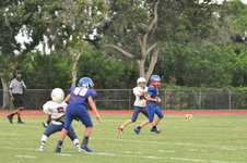 Enlarge photo 662