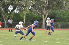 Enlarge photo 663
