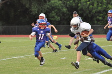 Enlarge photo 705